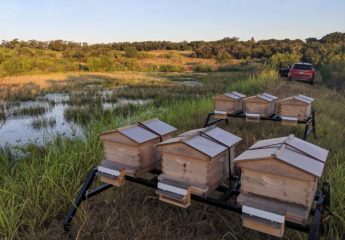 Bee C Hive Stands™ - Blue Collar Products by Design LLC