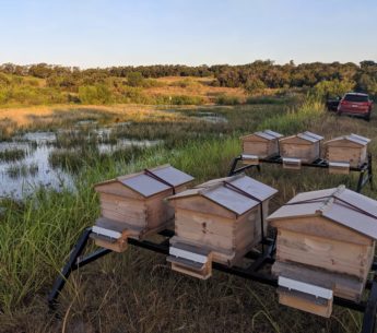 Bee C Hive Stands™ - Blue Collar Products by Design LLC