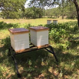 Bee C Hive Stands