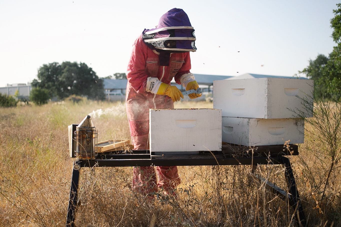 Three Hive Stand | Metal Bee Hive stand | Ant Proof Bee Hive Stand